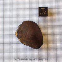 Viñales (alias Vinales) - Chondrite ordinaire L6 - Individu complet - 28,59g - Cuba