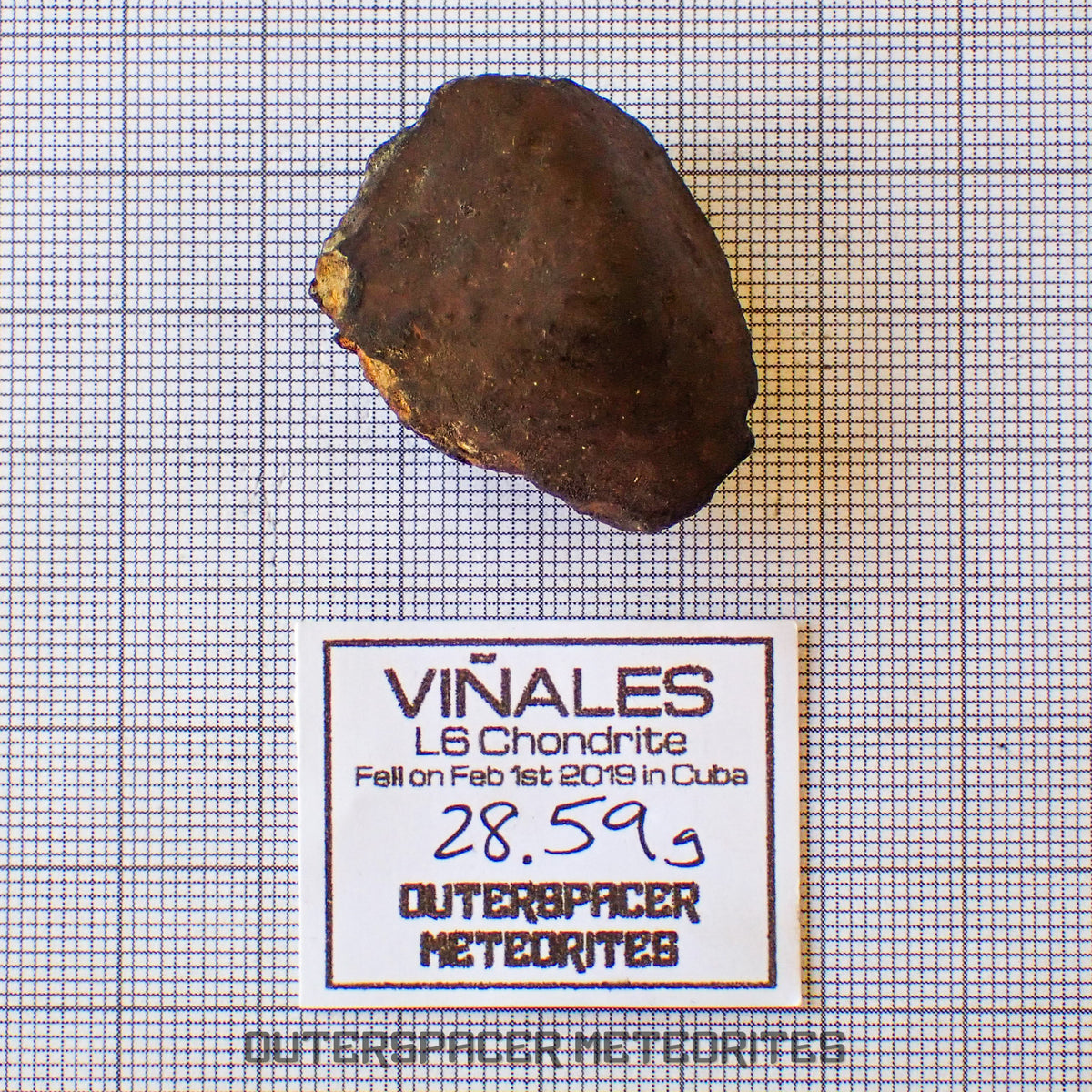 Viñales (alias Vinales) - Chondrite ordinaire L6 - Individu complet - 28,59g - Cuba