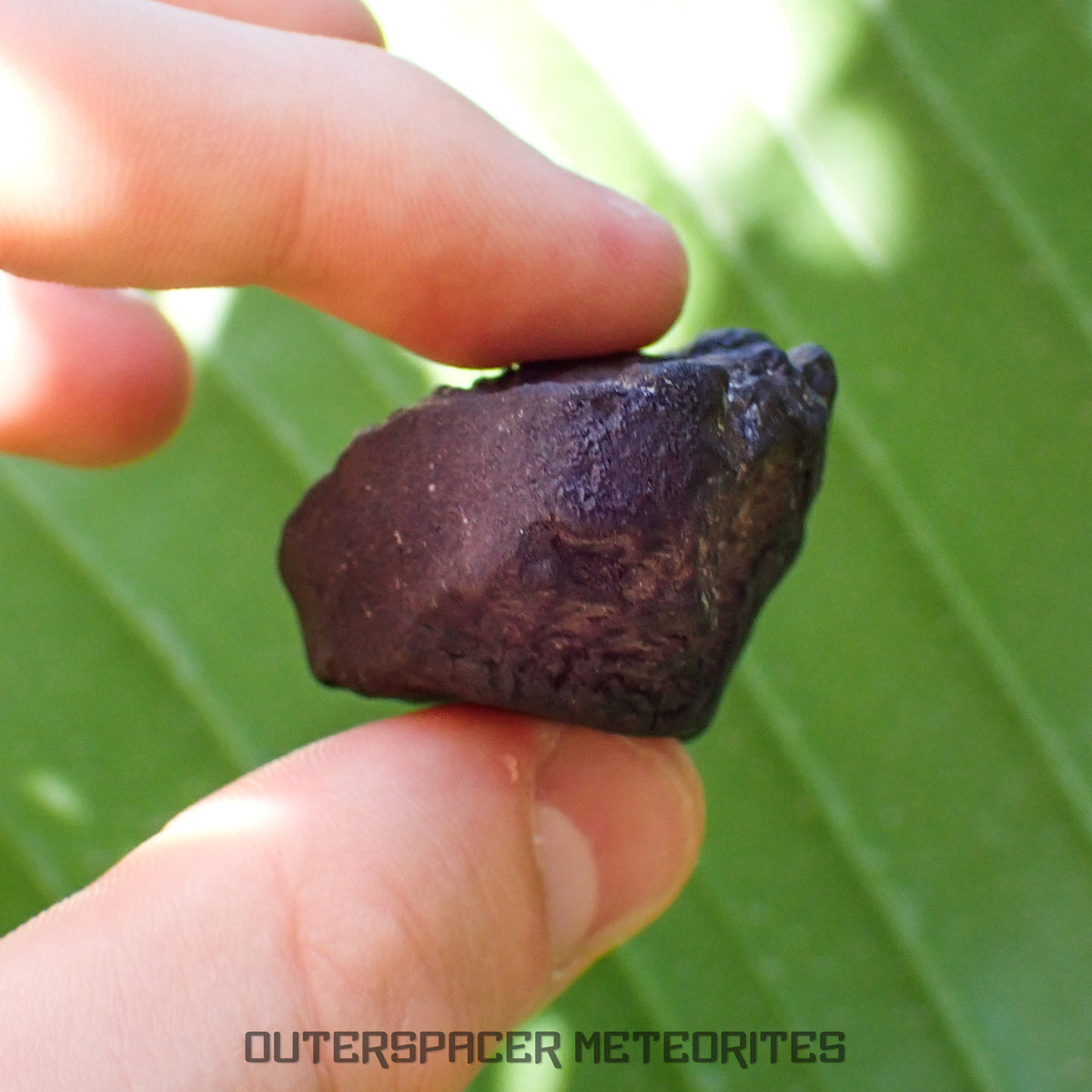 Viñales (también conocido como Vinales) - Condrita Ordinaria L6 - Individuo Completo - 56.90g - Cuba