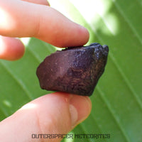 Viñales (también conocido como Vinales) - Condrita Ordinaria L6 - Individuo Completo - 56.90g - Cuba