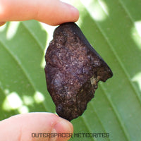 Viñales (también conocido como Vinales) - Condrita Ordinaria L6 - Individuo Completo - 56.90g - Cuba