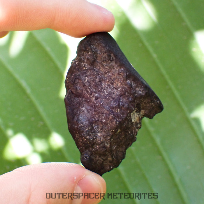 Viñales (aka. Vinales) - L6 Ordinary Chondrite - Complete Individual - 56.90g - Cuba