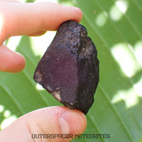 Viñales (también conocido como Vinales) - Condrita Ordinaria L6 - Individuo Completo - 56.90g - Cuba