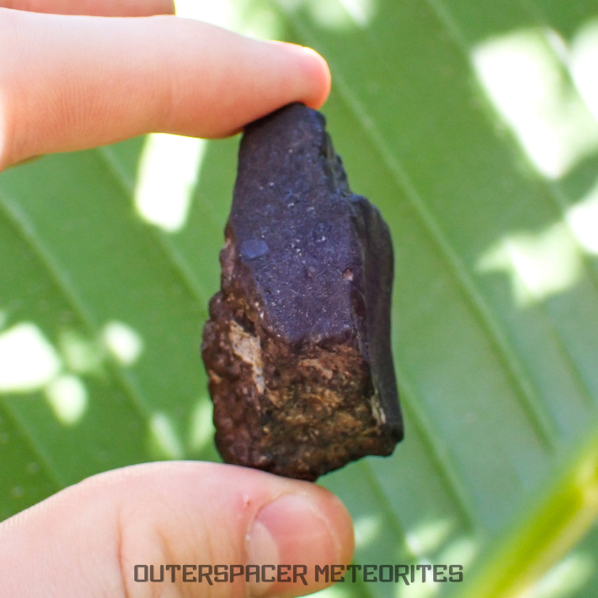 Viñales (también conocido como Vinales) - Condrita Ordinaria L6 - Individuo Completo - 56.90g - Cuba