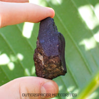 Viñales (también conocido como Vinales) - Condrita Ordinaria L6 - Individuo Completo - 56.90g - Cuba
