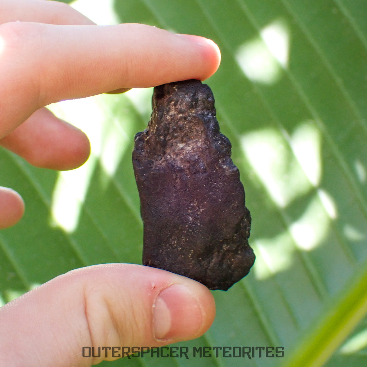 Viñales (también conocido como Vinales) - Condrita Ordinaria L6 - Individuo Completo - 56.90g - Cuba