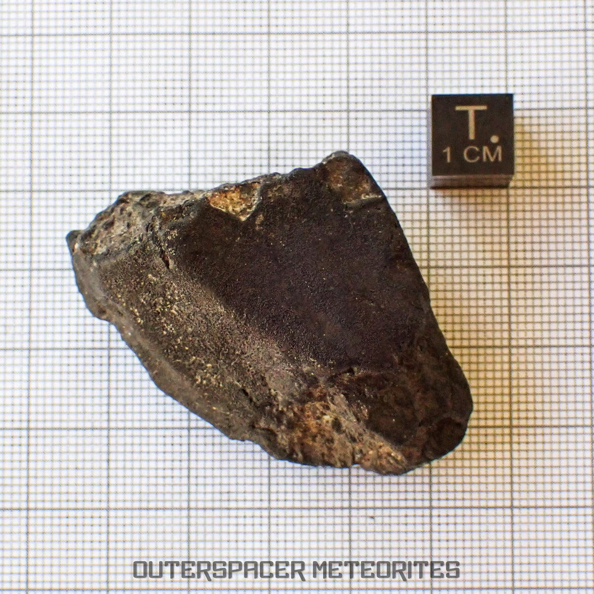Viñales (también conocido como Vinales) - Condrita Ordinaria L6 - Individuo Completo - 56.90g - Cuba