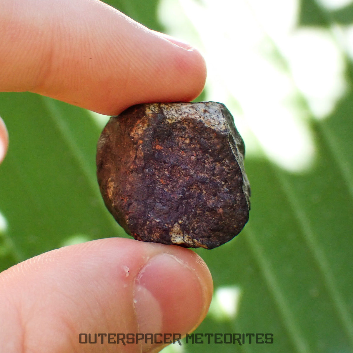 Viñales (aka. Vinales) - L6 Ordinary Chondrite - Complete Individual - 18.69g - Cuba