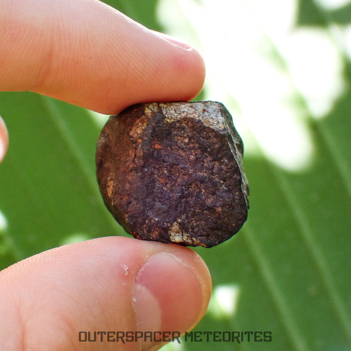 Viñales (aka. Vinales) - L6 Ordinary Chondrite - Complete Individual - 18.69g - Cuba