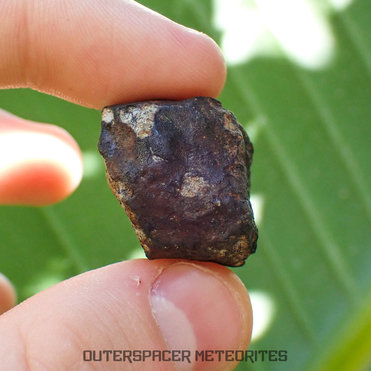 Viñales (aka. Vinales) - L6 Ordinary Chondrite - Complete Individual - 18.69g - Cuba
