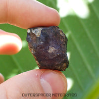 Viñales (aka. Vinales) - L6 Ordinary Chondrite - Complete Individual - 18.69g - Cuba