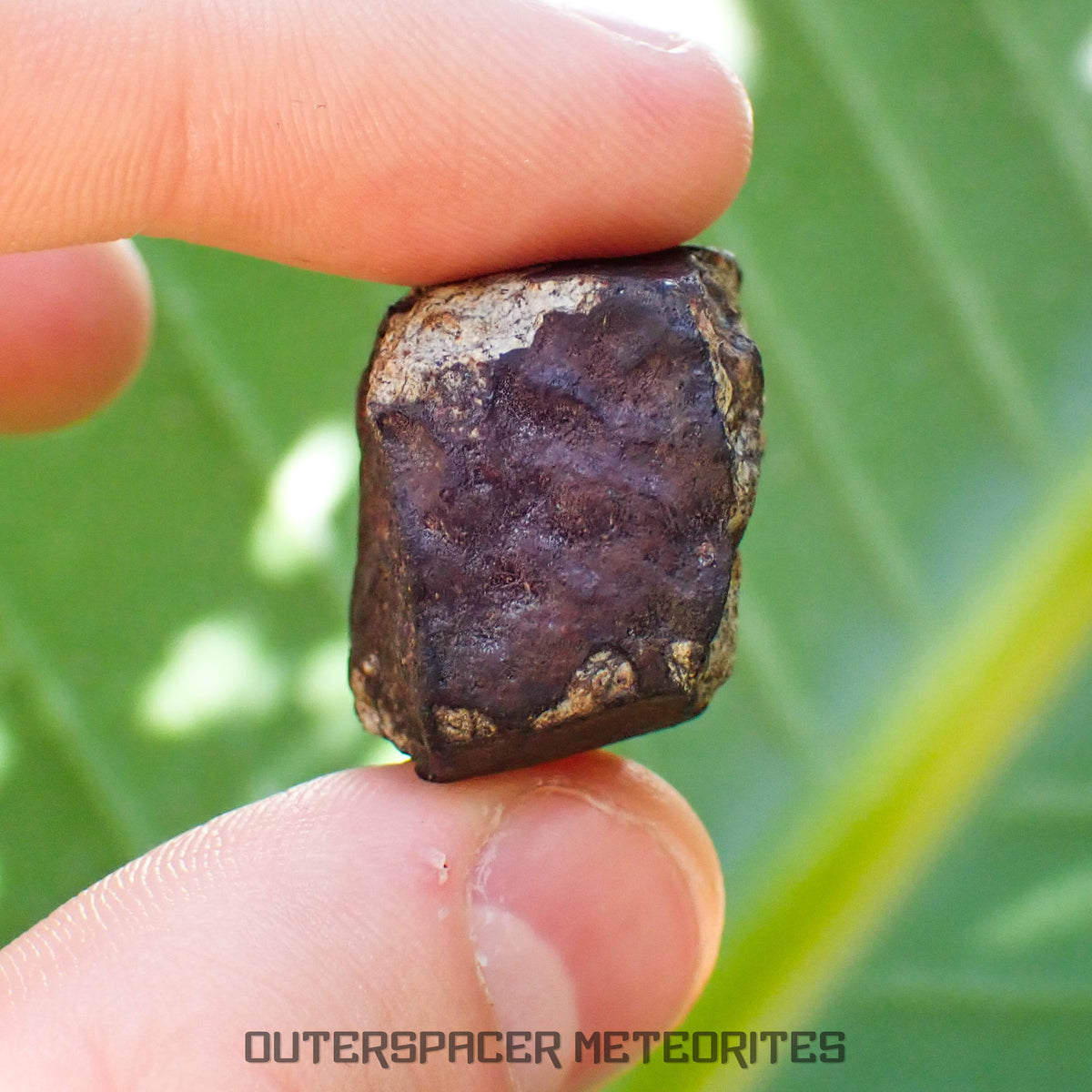 Viñales (aka. Vinales) - L6 Ordinary Chondrite - Complete Individual - 18.69g - Cuba