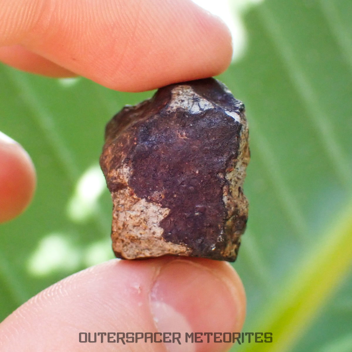 Viñales (aka. Vinales) - L6 Ordinary Chondrite - Complete Individual - 18.69g - Cuba