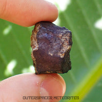 Viñales (aka. Vinales) - L6 Ordinary Chondrite - Complete Individual - 18.69g - Cuba