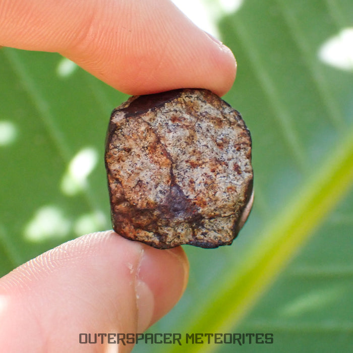 Viñales (aka. Vinales) - L6 Ordinary Chondrite - Complete Individual - 18.69g - Cuba