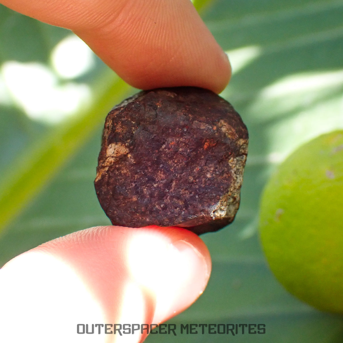 Viñales (aka. Vinales) - L6 Ordinary Chondrite - Complete Individual - 18.69g - Cuba