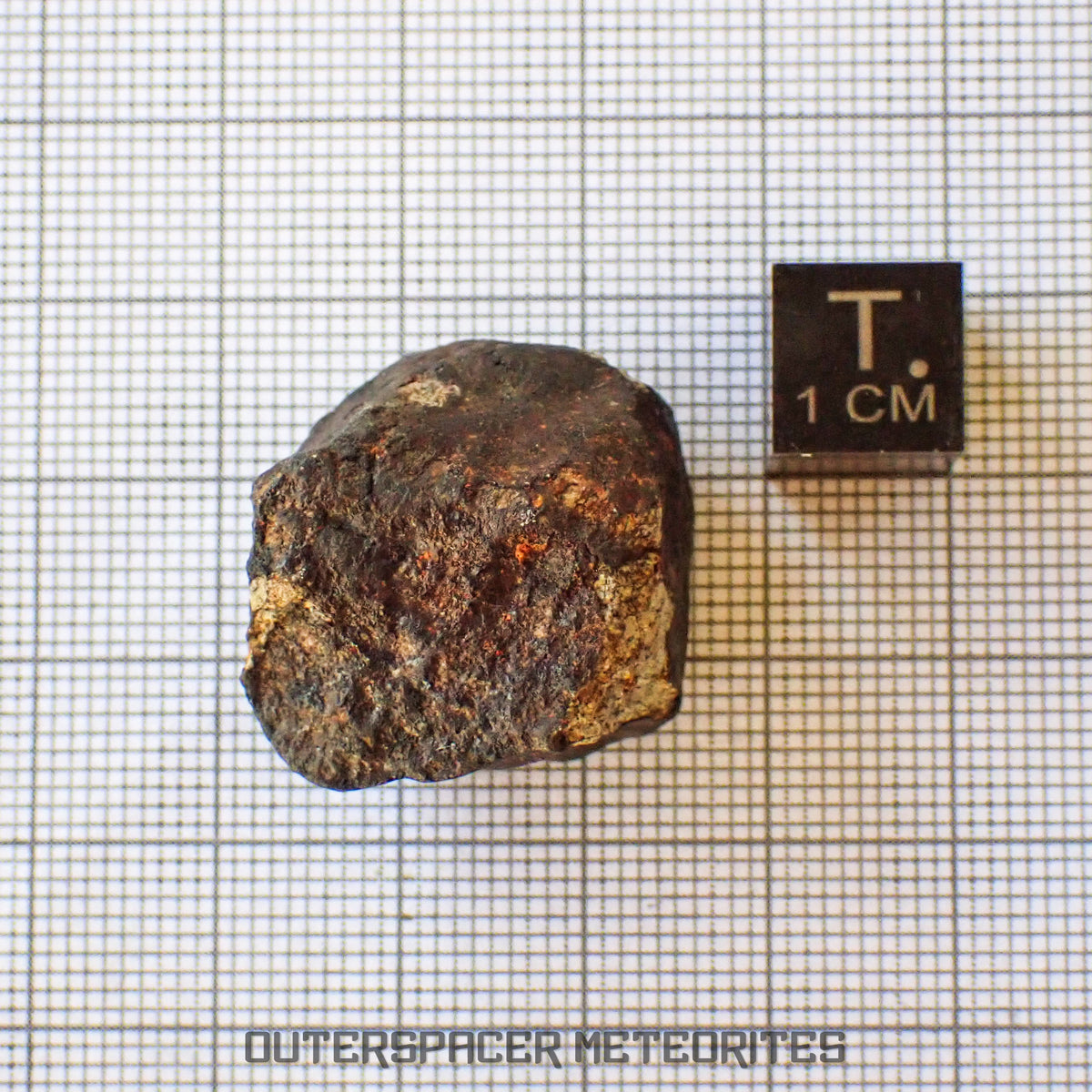 Viñales (aka. Vinales) - L6 Ordinary Chondrite - Complete Individual - 18.69g - Cuba
