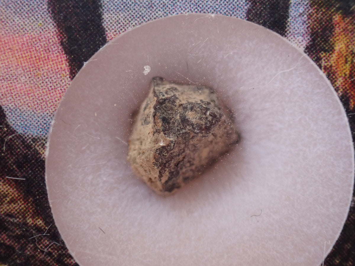 Grapevine Mesa - CBa Carbonaceous Chondrite - Fragment - 0.21 g - USA (Arizona)