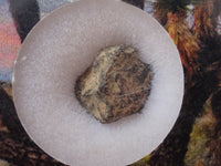 Grapevine Mesa - CBa Carbonaceous Chondrite - Fragment - 0.21 g - USA (Arizona)