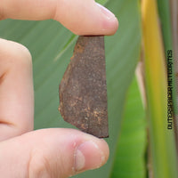 Wagon Mound  - L6 Ordinary Chondrite - Partial Slice - 10.92 g - USA (New Mexico)