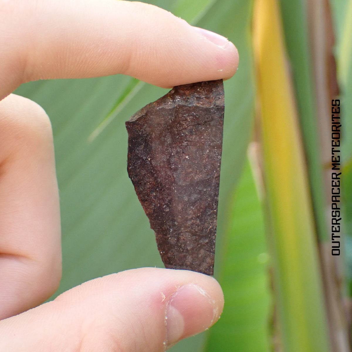 Wagon Mound  - L6 Ordinary Chondrite - Partial Slice - 10.92 g - USA (New Mexico)