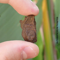 Wagon Mound  - L6 Ordinary Chondrite - Partial Slice - 10.92 g - USA (New Mexico)