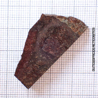 Wagon Mound  - L6 Ordinary Chondrite - Partial Slice - 10.92 g - USA (New Mexico)