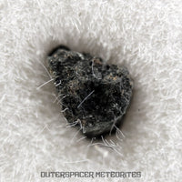 Winchcombe - CM2 Carbonaceous Chondrite - Fragment - 0.0415 g - England (Gloucestershire)